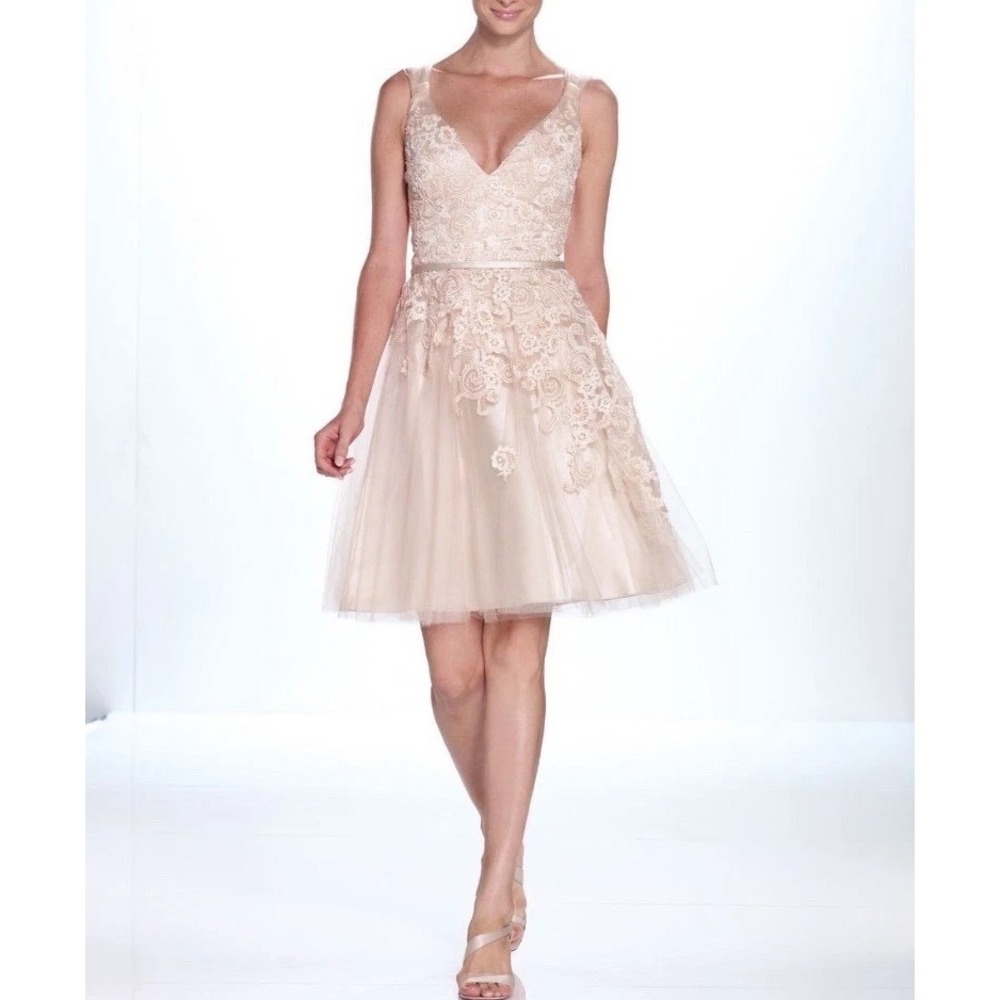 Kathy Hilton Champagne Tulle Runway Cocktail Dress 2012 Collection